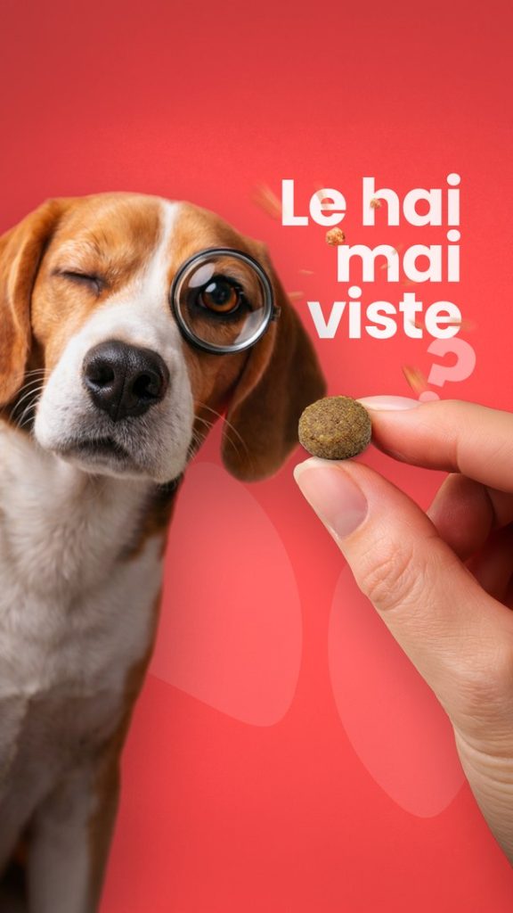 Copertina grafica del video sulle crocchette Nuova Fattoria viste da vicino