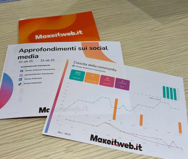 Report mensile con grafici e numeri dei canali social