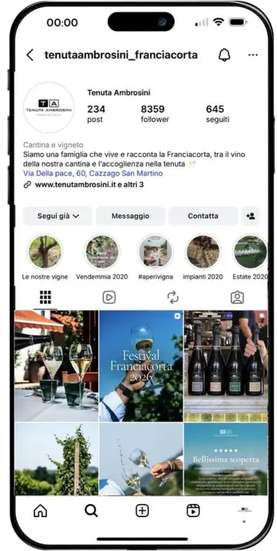 Profilo Instagram di Tenuta Ambrosini oggi: 234 post e 8.359 follower