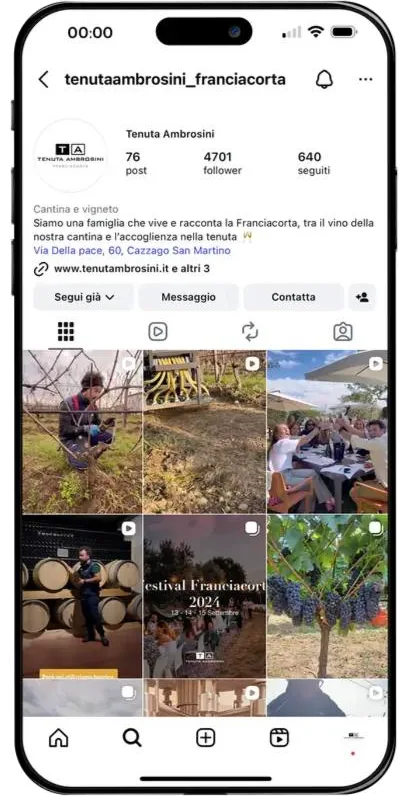 Profilo Instagram di Tenuta Ambrosini prima di MakeItWeb: 76 post e 4.701 follower