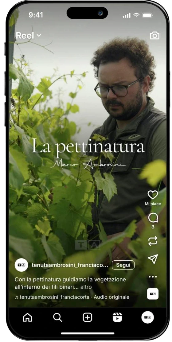 Reel «La pettinatura» di Tenuta Ambrosini su Instagram, visto su un telefono