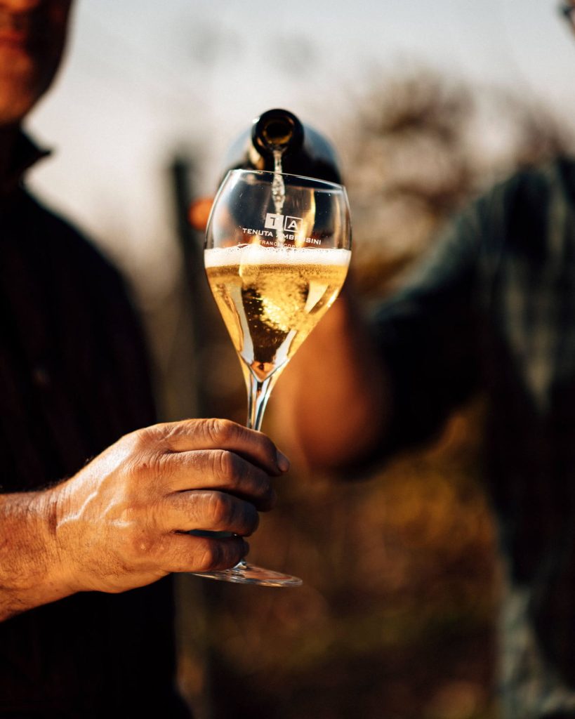 Franciacorta versato nel calice controluce, in vigna al tramonto