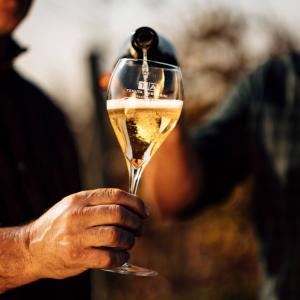 Calice di Franciacorta versato in cantina a Tenuta Ambrosini
