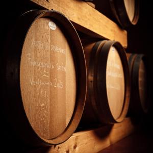 Botti in legno nella cantina di Tenuta Ambrosini