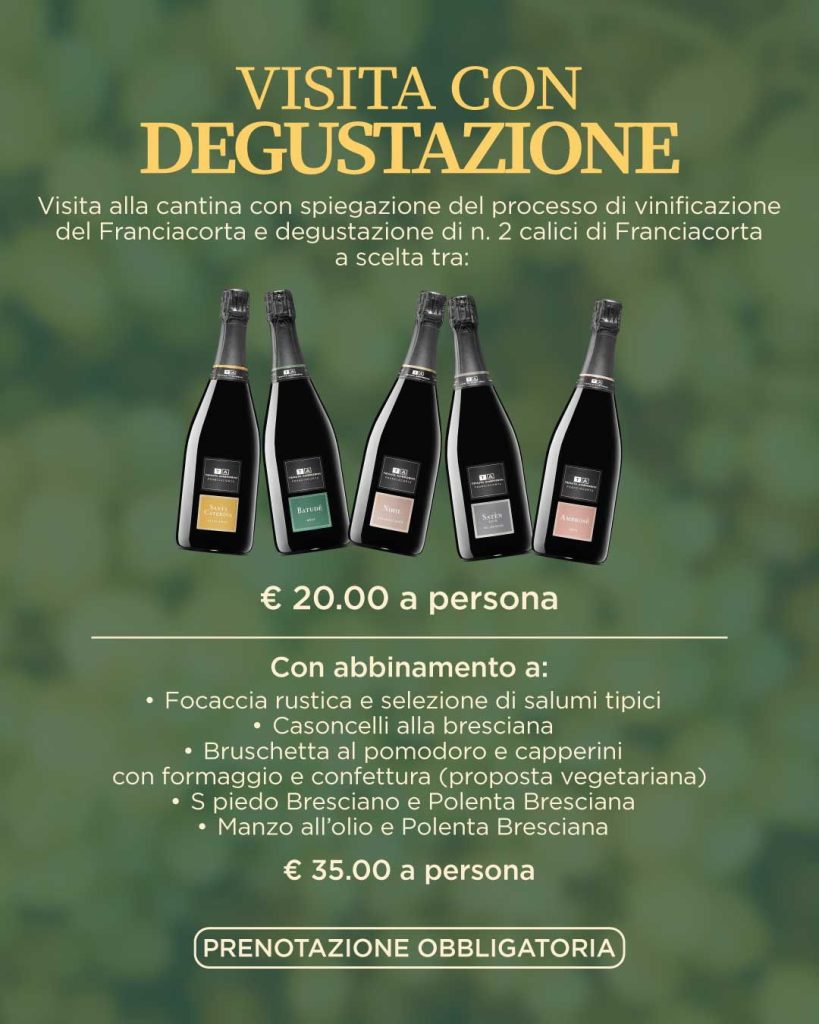 Grafica della visita con degustazione in cantina a 20 euro a persona