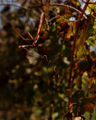 DSC 7469